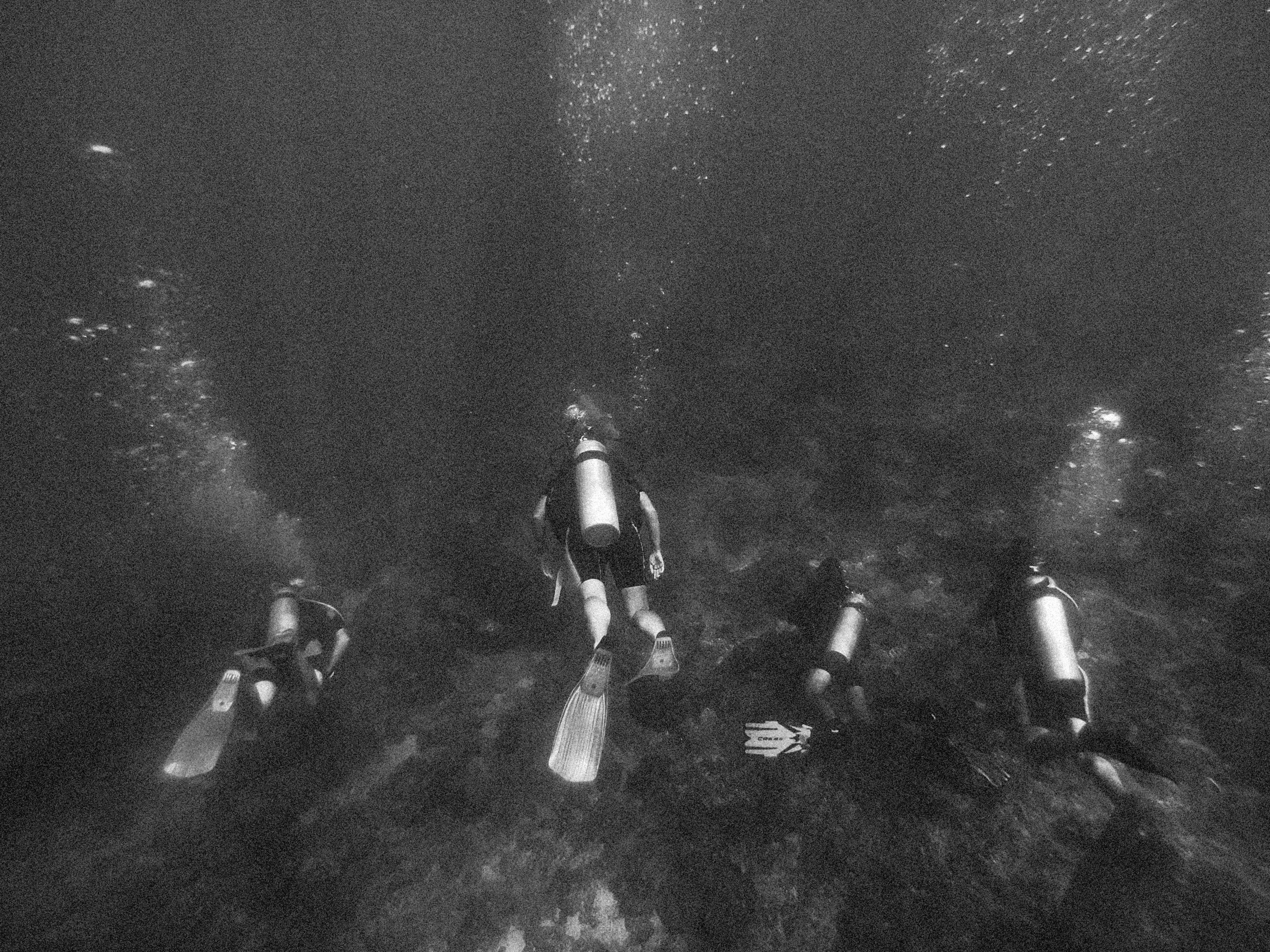 Meyerton Scuba collage image