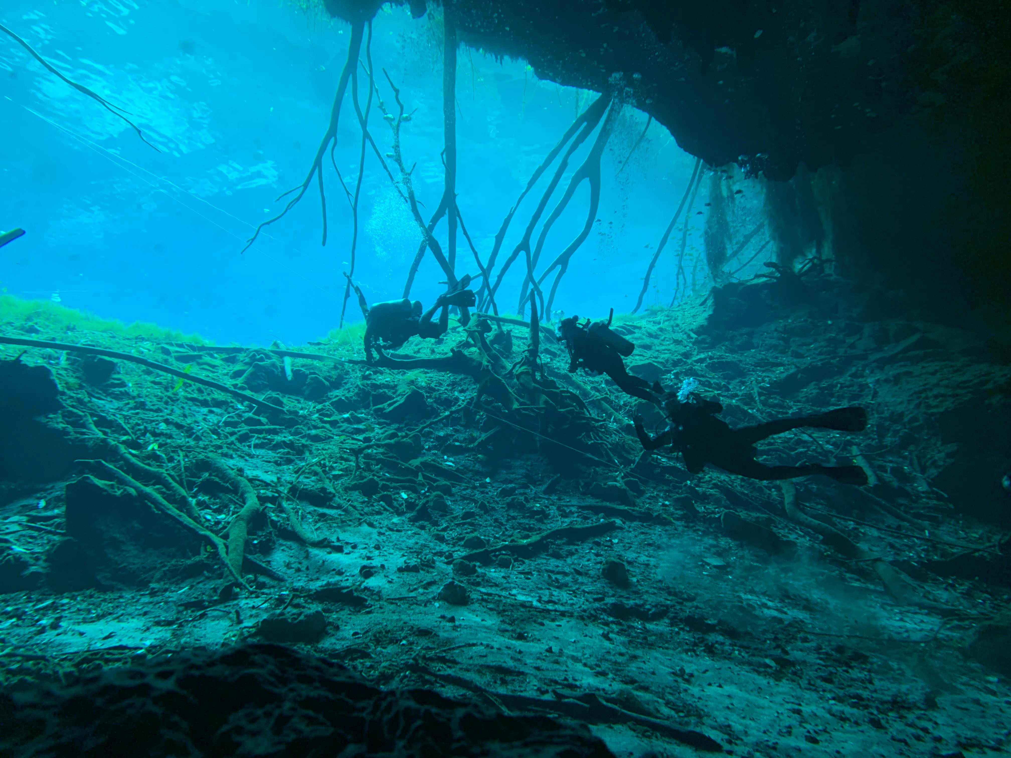 Meyerton Scuba collage image