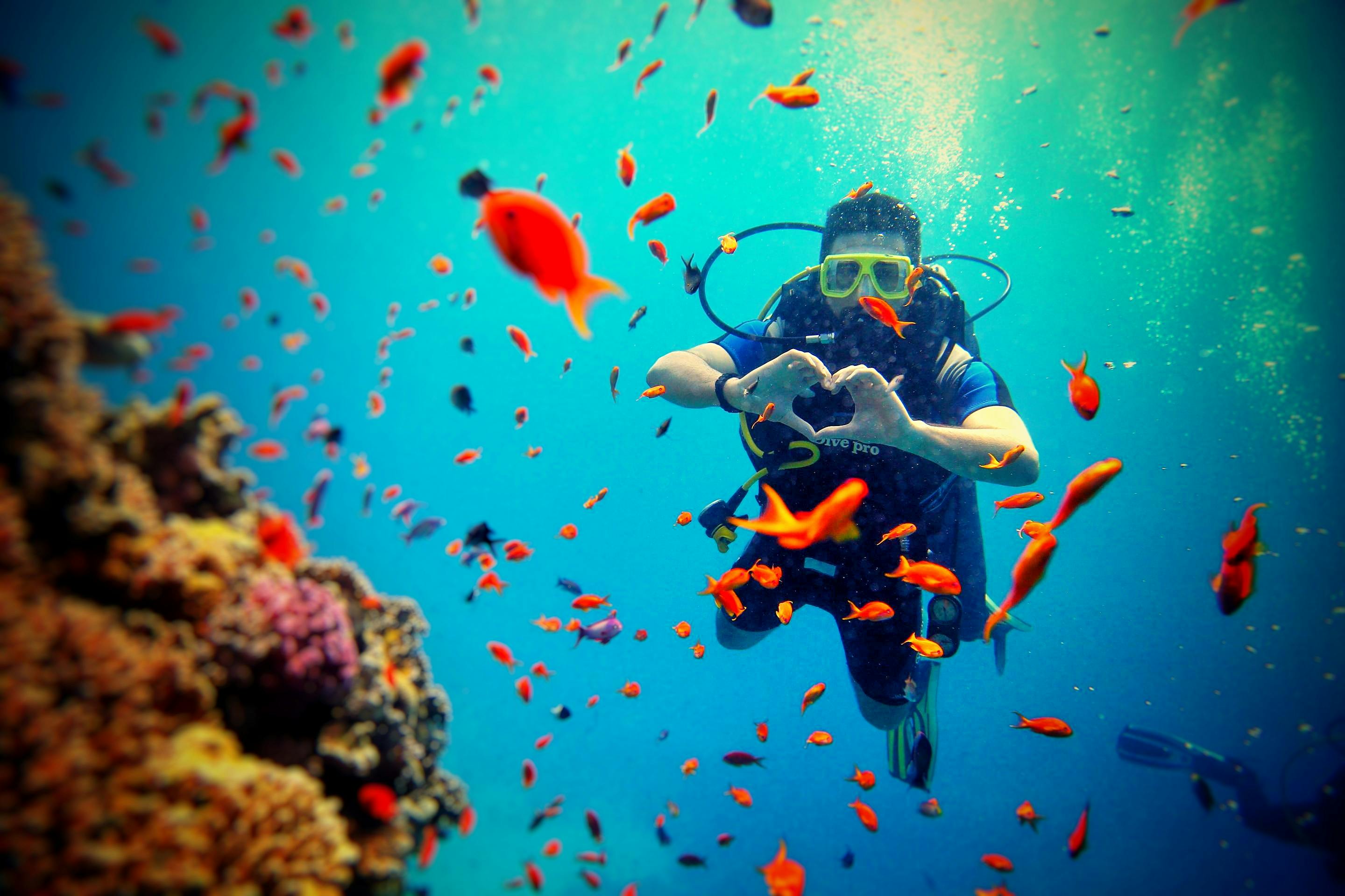 Meyerton Scuba collage image