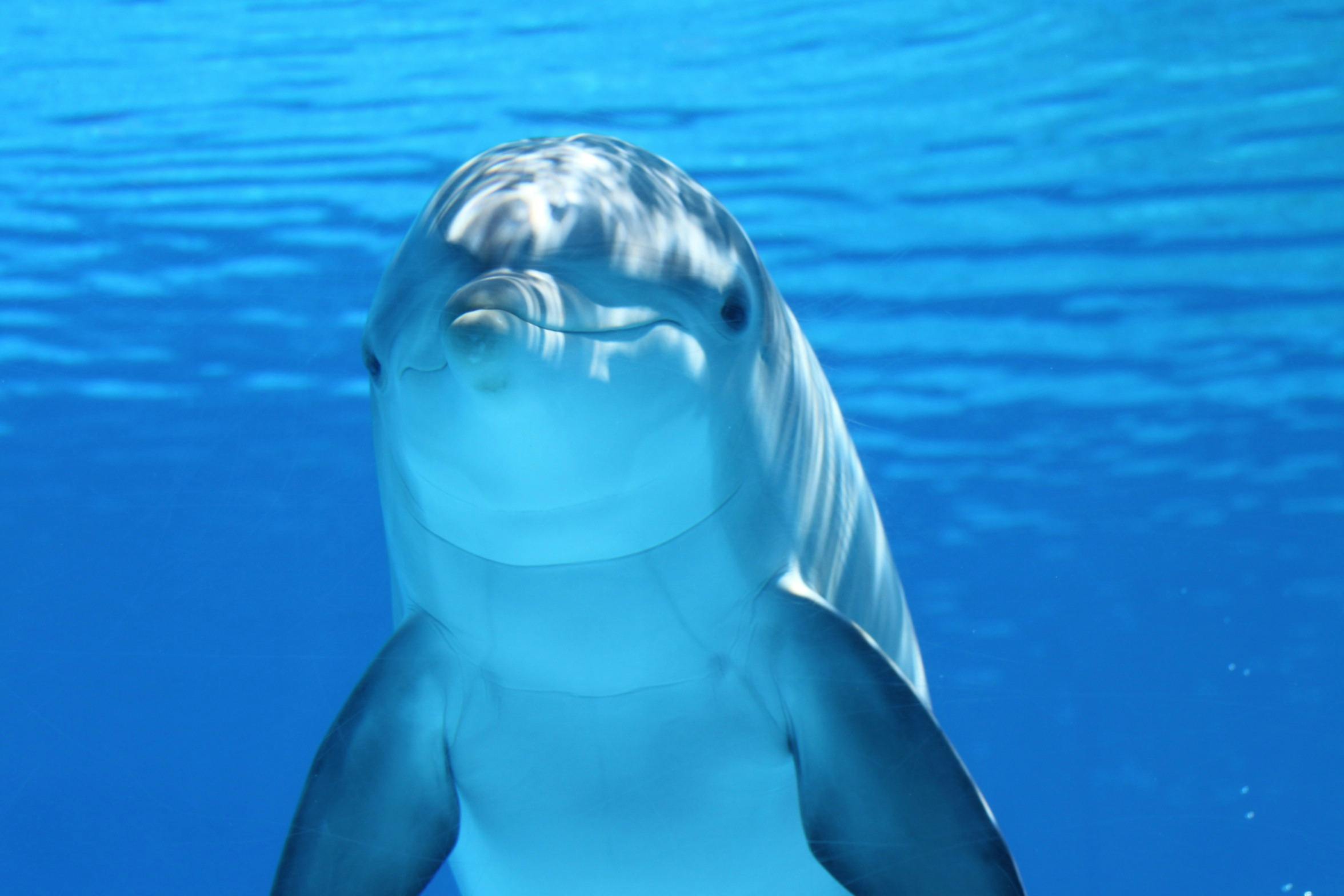 Ocean Background